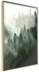 Poster  Steaming Forest  Cornice Quadri Cornice d'oro, Larghezza x Altezza Home decor 40x60