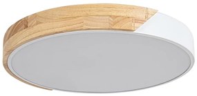 Rabalux 3527 - Plafoniera LED MAPLE LED/24W/230V bianco