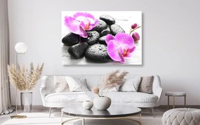 Stampa su tela – Bella armonia di pietre e orchidee