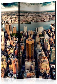 Paravento Vista Aerea di New York - Veduta della città da un aereo