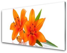 Pannello paraschizzi cucina Fiori di piante arancioni 100x50 cm