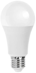 Lampadina LED A60 E27/21W/230V 6500K - Aigostar