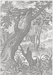 Carta da parati in tessuto non tessuto Engraved Landscapes