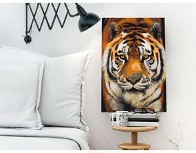 Quadro fai da te  Asian Tiger  Larghezza x Altezza Home decor 40x60