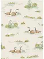 Coordonne Carta da parati Mallard Duck - Mint