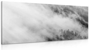 Stampa su tela – Foresta nebbiosa in bianco e nero