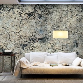 Fotomurale adesivo  Cracked Stone  Larghezza x Altezza Home decor 294x210