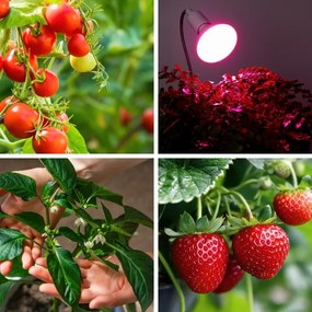 LED Lampadina per la crescita delle piante VITABLOOM E27/9W/230V 1200K bianco - Brilagi