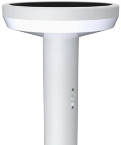 Paletto da giardino Solare Bianco 80cm con Sensore Mov. e Picchetto Colore Bianco Naturale 4.000K