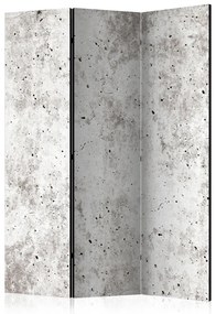 Paravento separè Stile urbano: Cemento (3 parti) - composizione su sfondo grigio