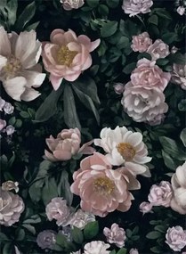 BoråsTapeter Carta da parati New Dawn Rose - 7234