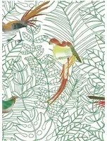 Nobilis Carta da parati Amazone - COS141