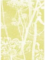 Cole & Son Carta da parati Cow Parsley - Gelb/ Offwhite