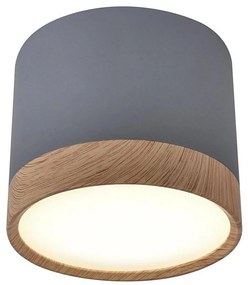 Plafoniera LED TUBA LED/9W/230V