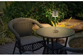 Globo 36637A - Lampada LED solare SOLAR LED/0,6W/3V 3000K IP44 antracite