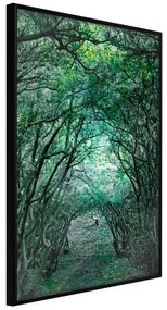 Poster  Tree Tunnel  Cornice Quadri Cornice nera, Larghezza x Altezza Home decor 20x30