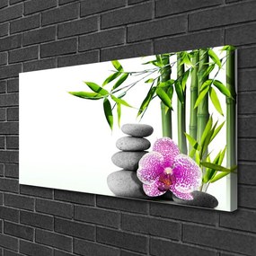 Quadro su tela Zen Art Bamboo Spa 100x50 cm