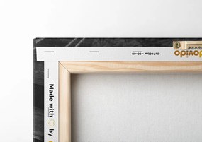 Quadro su tela – Acchiappasogni in bianco e nero