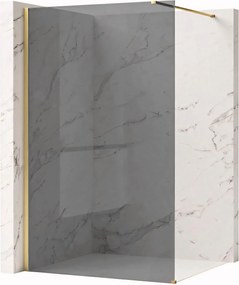 Parete doccia Rea Flexi Grey / Brush Gold 110