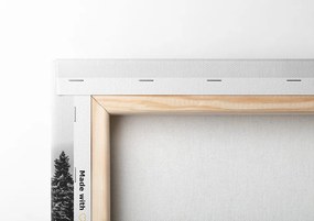 Quadro su tela – Casetta nella natura innevata in bianco e nero