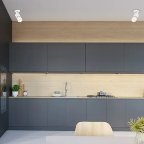 Luce Spot VIDAR 1xGU10/25W/230V bianco