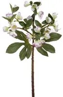 Set 4 Rami Artificiali di Helleborus Altezza 42 cm Bianco