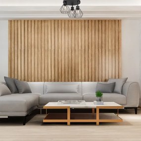 Plafoniera PARKLA 3xE27/15W/230V nero