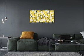 Quadro su tela Limoni 100x50 cm