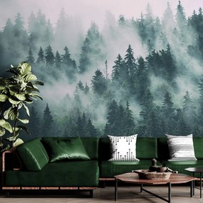 Carta da parati – Foresta nella nebbia