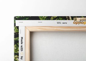 Stampa su tela – Alberi maestosi
