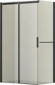 Pannello laterale per box doccia Diamante L 77 x H 195cm, Sp. 6 mm vetro vetro senza finitura / trasparente profilo in alluminio
