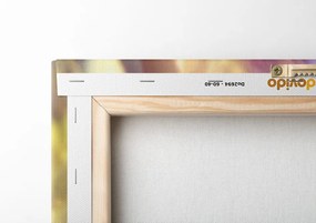 Quadro su tela – Ratto con cuffie