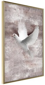 Poster  White Dreams  Cornice Quadri Cornice d'oro, Larghezza x Altezza Home decor 20x30