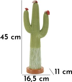 Cactus Cm 16,5X11X45