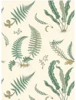 GP & J Baker Carta da parati Ferns - Verdigris