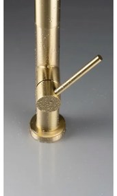 Deante BQO_R72M - Rubinetto lavello con doccetta estraibile OLFATO pettinato oro