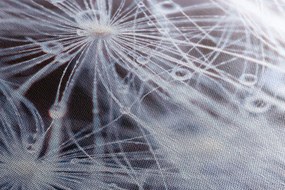 Stampa su tela – Macro dente di leone