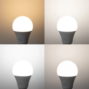 Set di 5 Lampadine LED Smart E27 A60 Opaco RGBW 9W 806lm 2700-6500K