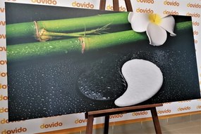Stampa su tela – Natura morta Spa con simbolo del Jin e Jang