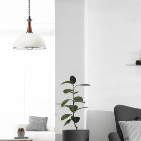 Lampadario a scomparsa CHIARA 1xE27/60W/230V argento/rovere