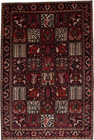 Bakhtiar Tappeto 220 x 320 (Iran) Annodato A Mano