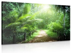 Stampa su tela – Sentiero sull'isola di Seychelles