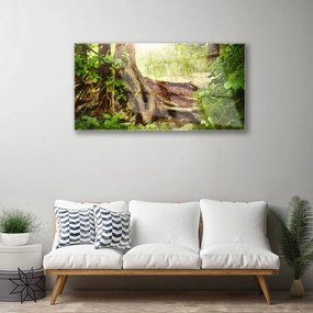 Quadro di vetro Tronco d'albero Foresta naturale 100x50 cm