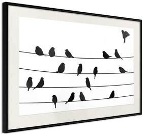 Poster  Birds Council Meeting  Cornice Quadri Cornice nera con pass-partout, Larghezza x Altezza Home decor 30x20