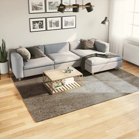 Tappeto A Pelo Lucido Lungo Istan Effetto Grigio 200x280 Cm /