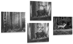 Set di quadri – Animali del bosco in bianco e nero