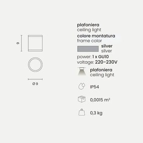 Plafoniera per esterni JUBO in alluminio Silver con diffusore in vetro D9 cm