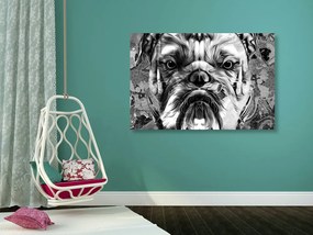 Stampa su tela – Bulldog in bianco e nero
