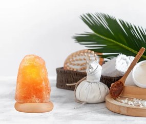 Lampada al sale SALLY 1xE14/25W/230V