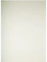 Arte International Carta da parati Sabal - Frost White